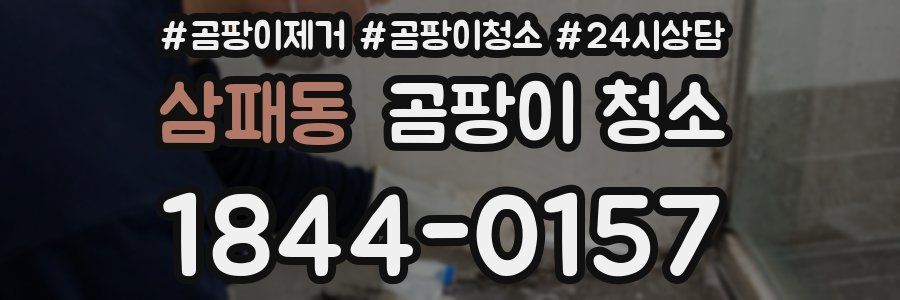 삼패동 곰팡이 청소