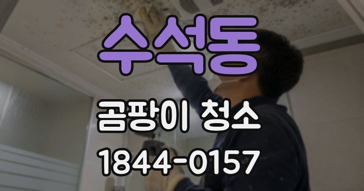 수석동 곰팡이 청소