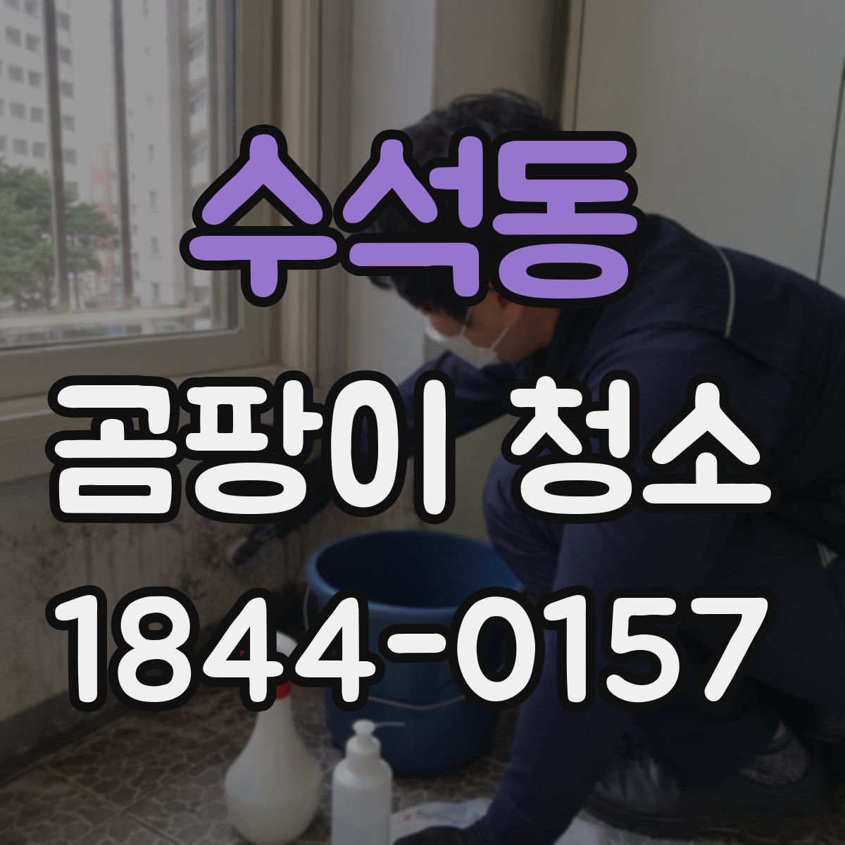 수석동 곰팡이 청소