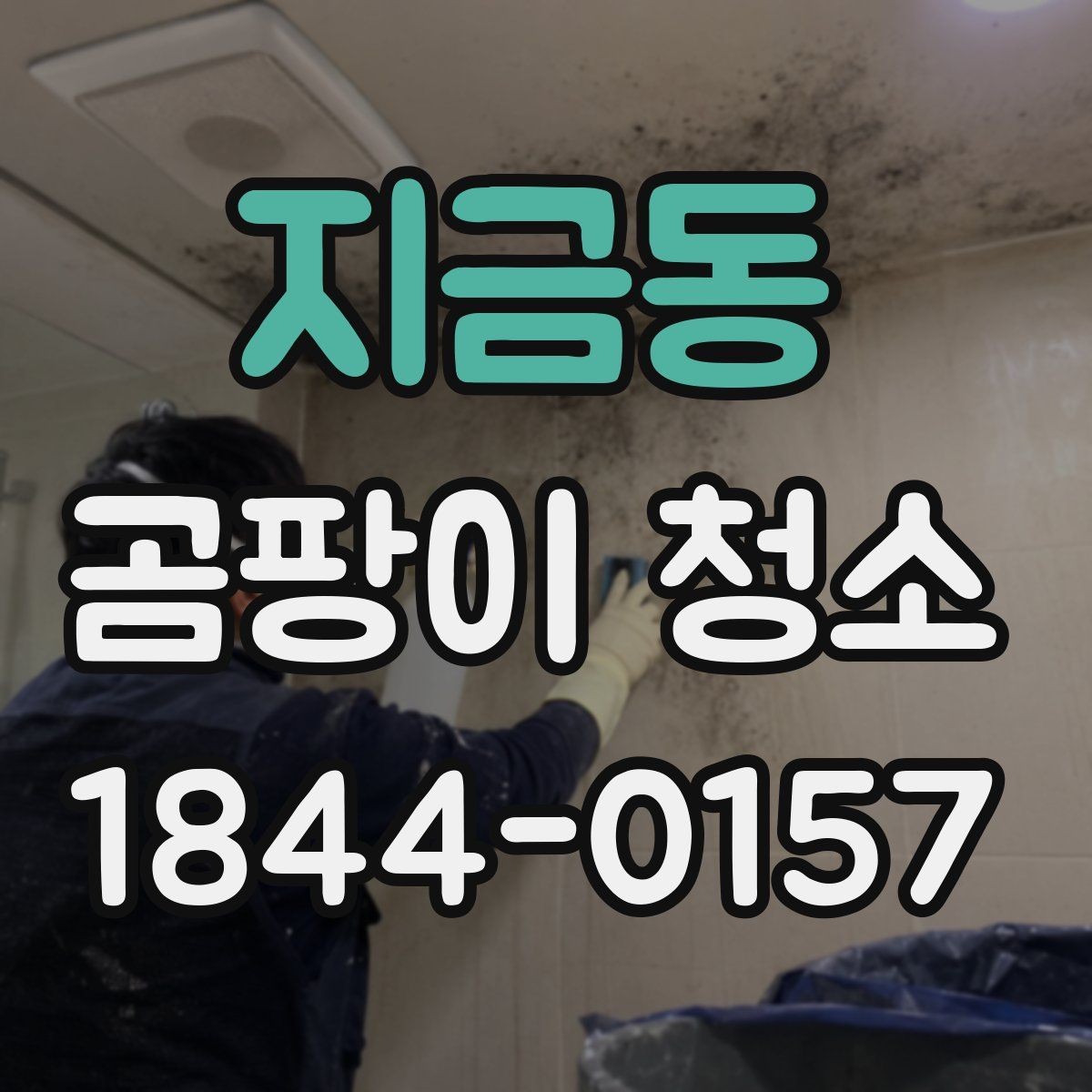 지금동 곰팡이 청소 기록이 필요한 이유와 전후 비교 방법