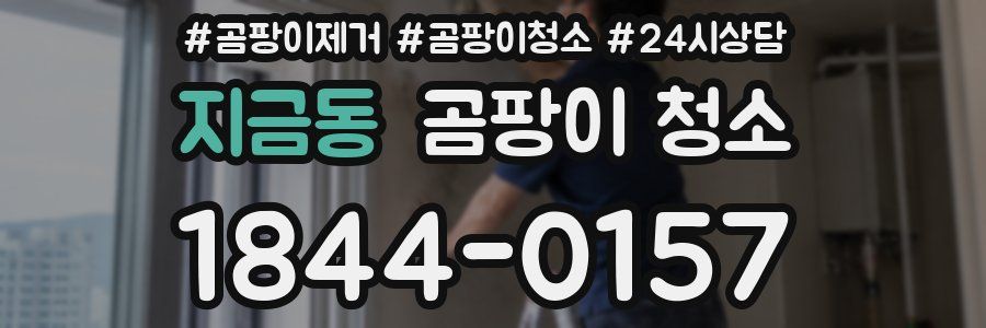 지금동 곰팡이 청소