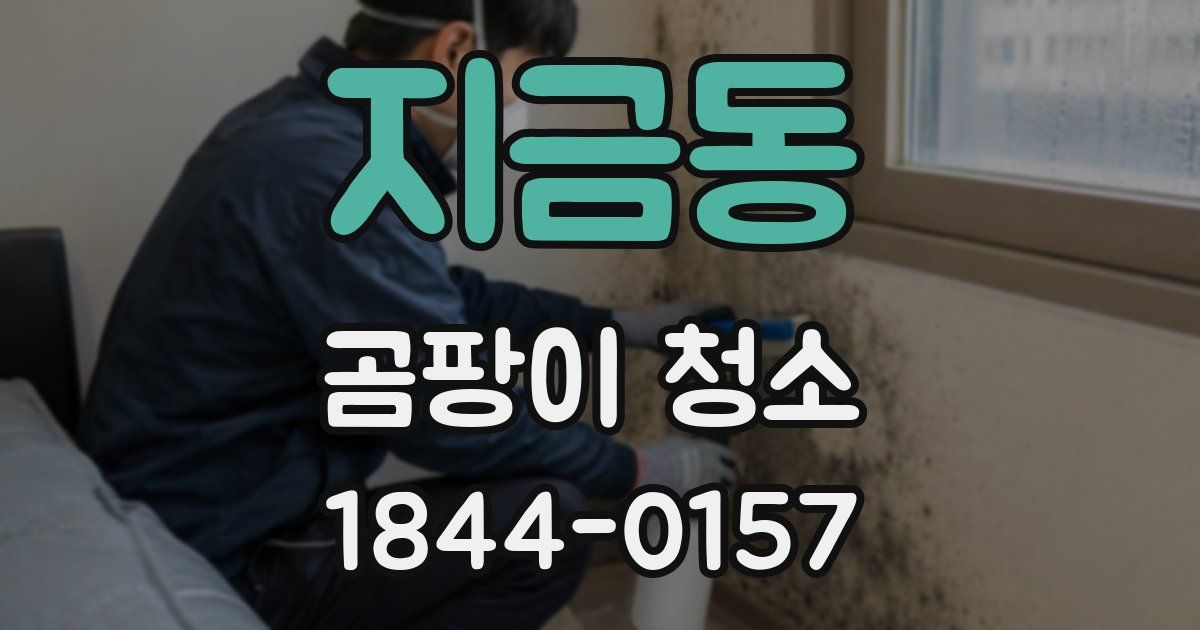 지금동 곰팡이 청소