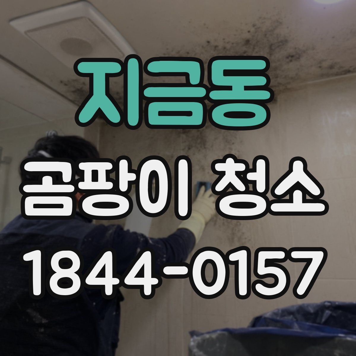 지금동 곰팡이 청소