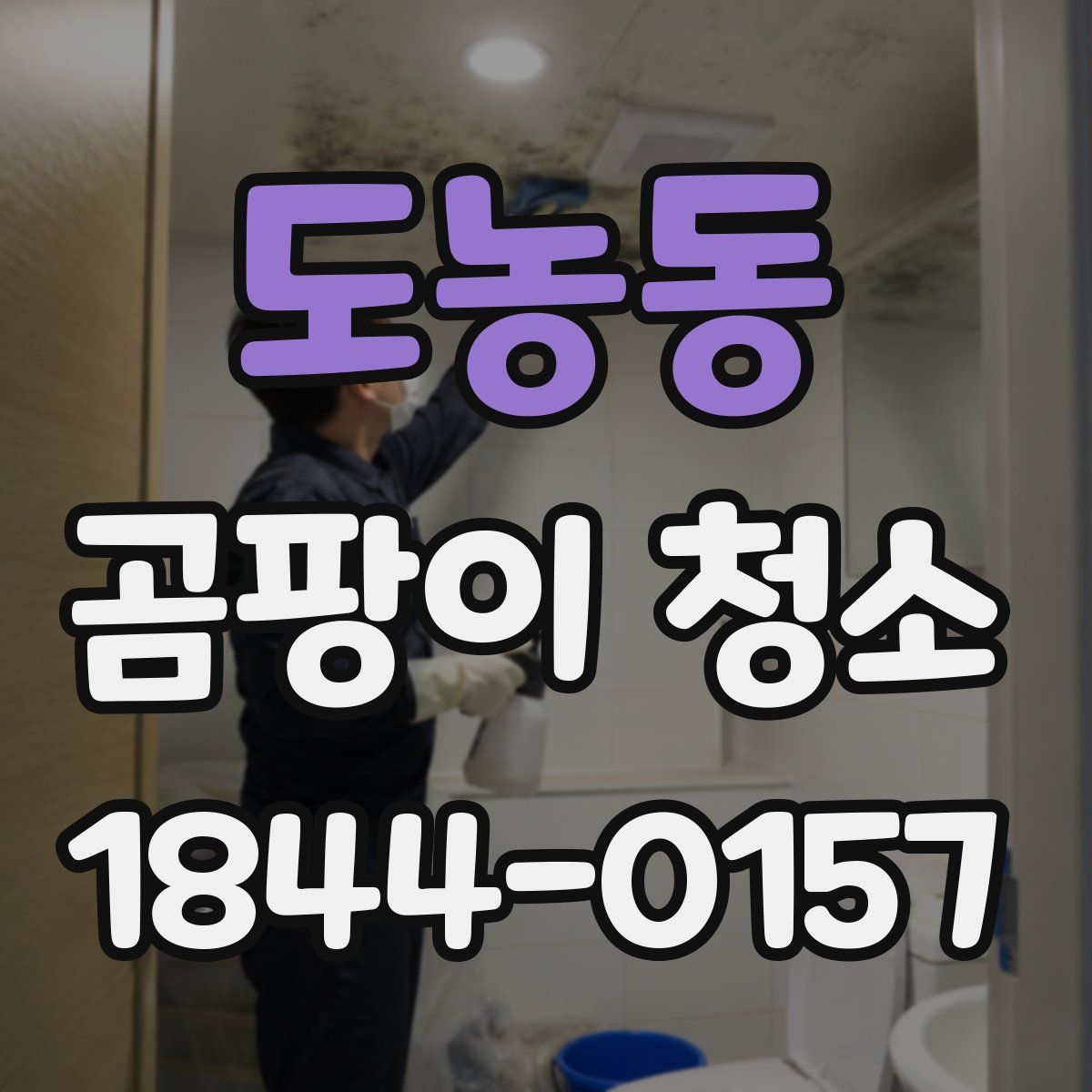 도농동 곰팡이 청소