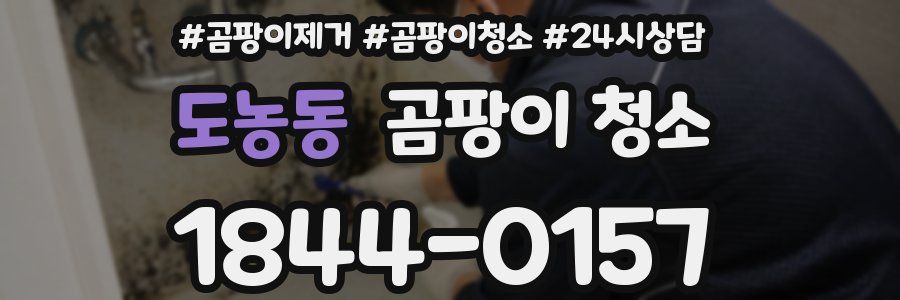 도농동 곰팡이 청소