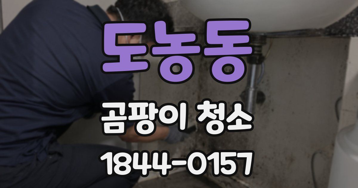 도농동 곰팡이 청소