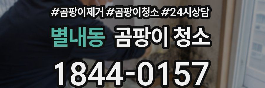 별내동 곰팡이 청소