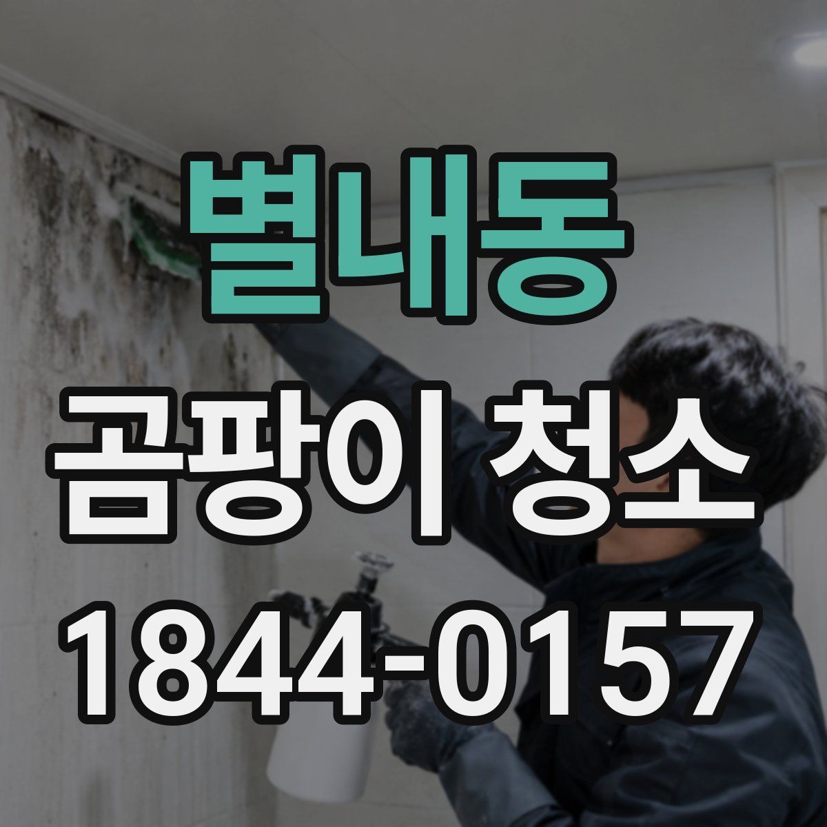 별내동 곰팡이 청소