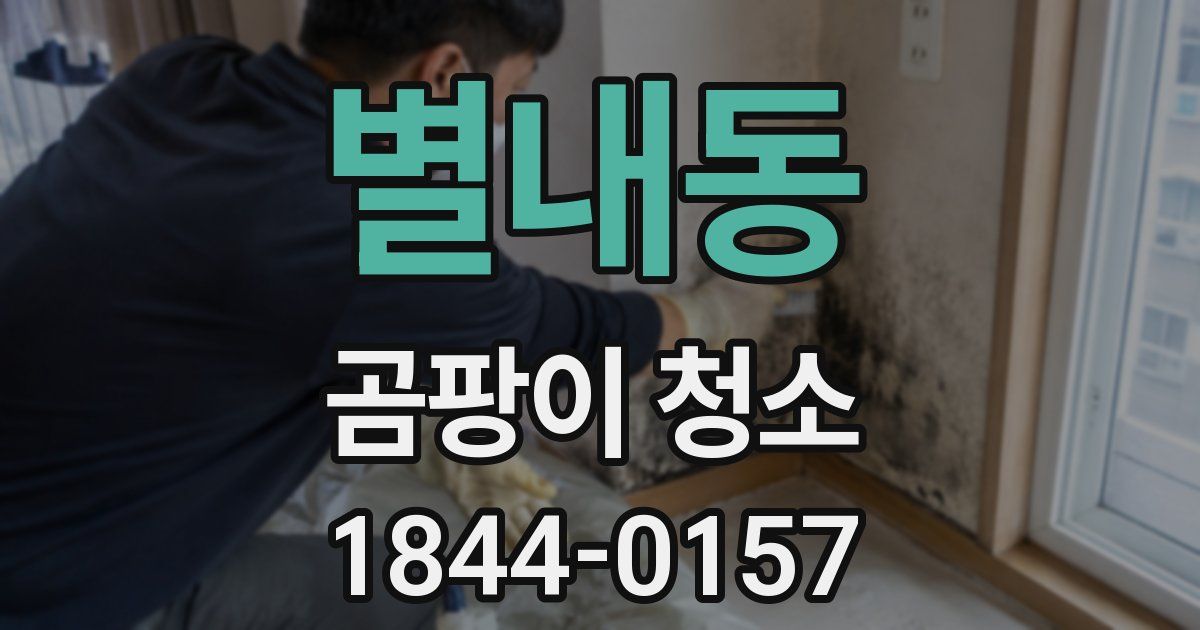 별내동 곰팡이 청소