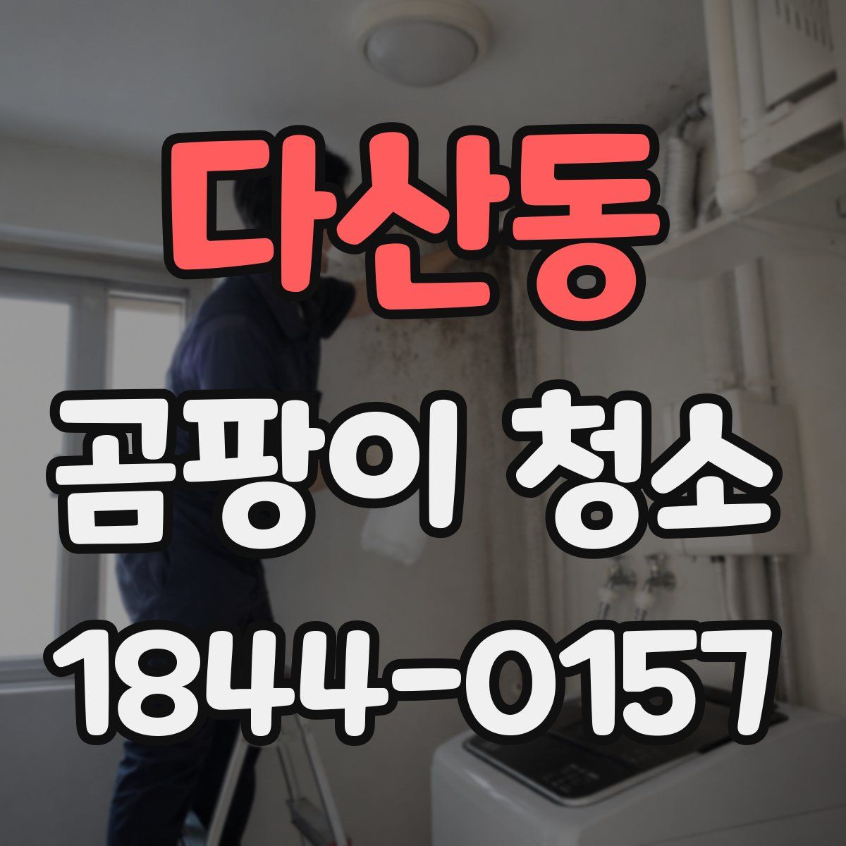 다산동 곰팡이 청소