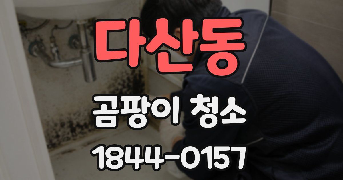 다산동 곰팡이 청소