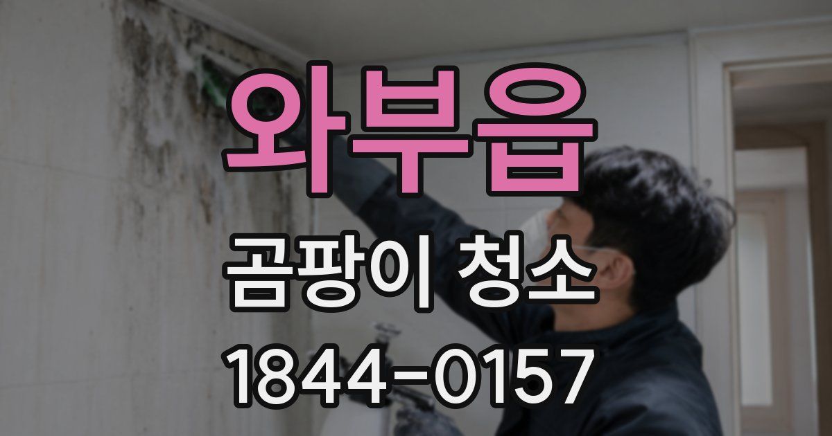 와부읍 곰팡이 청소