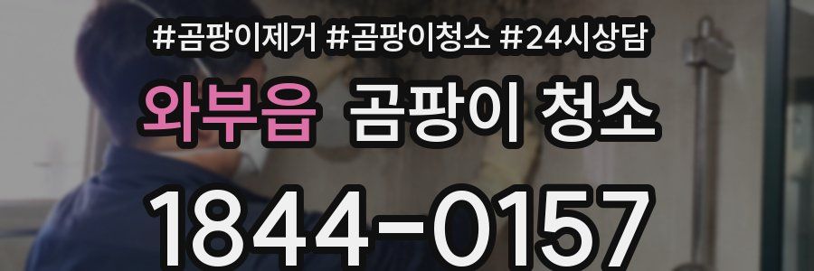 와부읍 곰팡이 청소