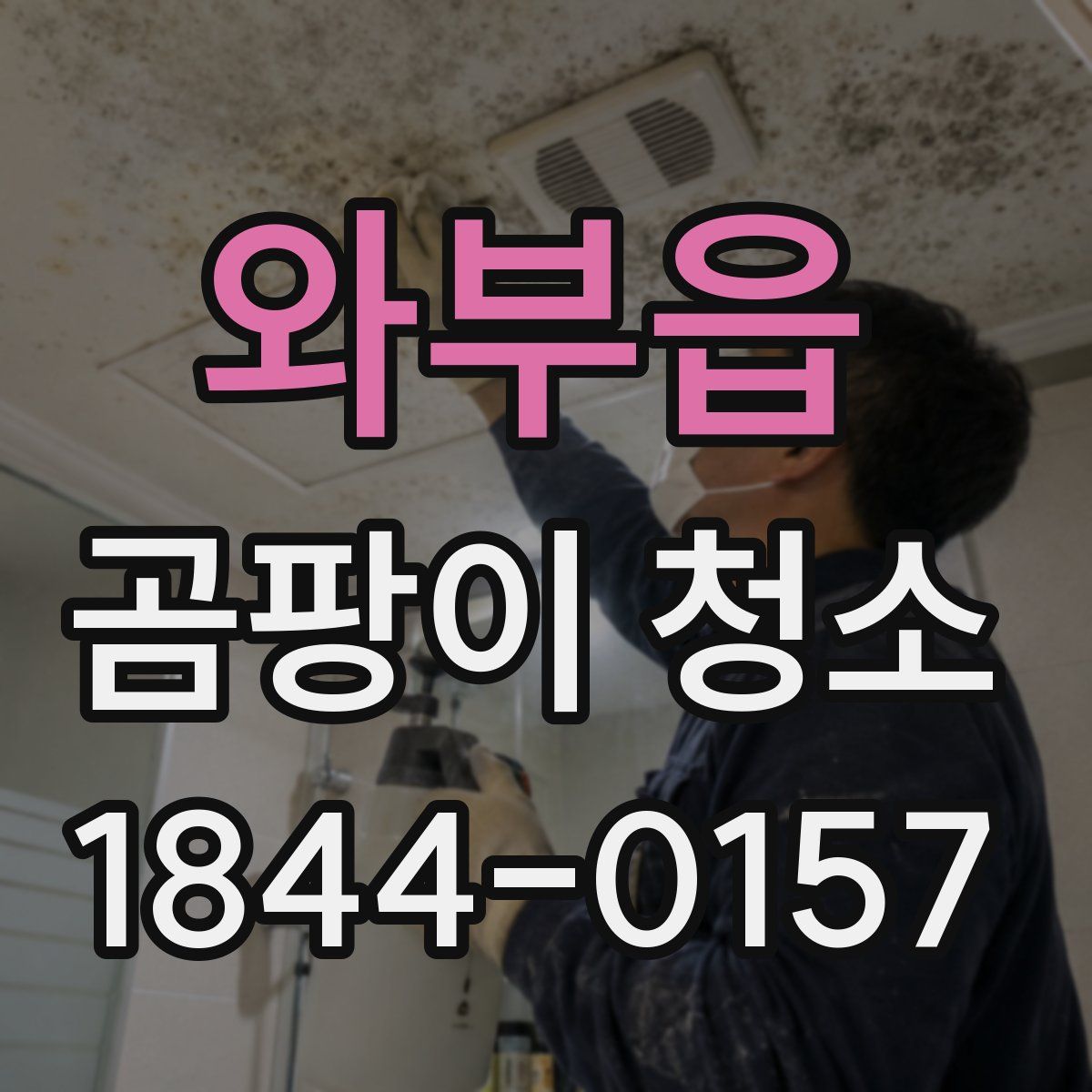 와부읍 곰팡이 청소