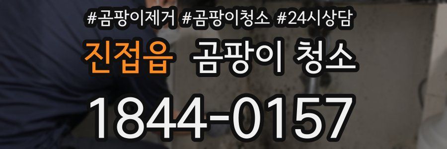 진접읍 곰팡이 청소