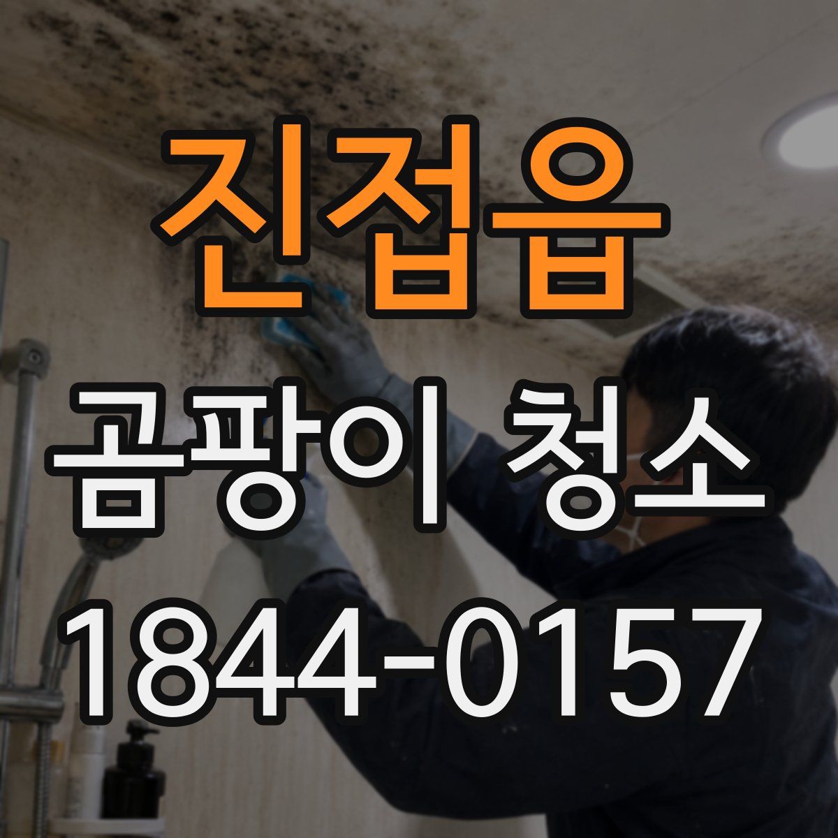 진접읍 곰팡이 청소