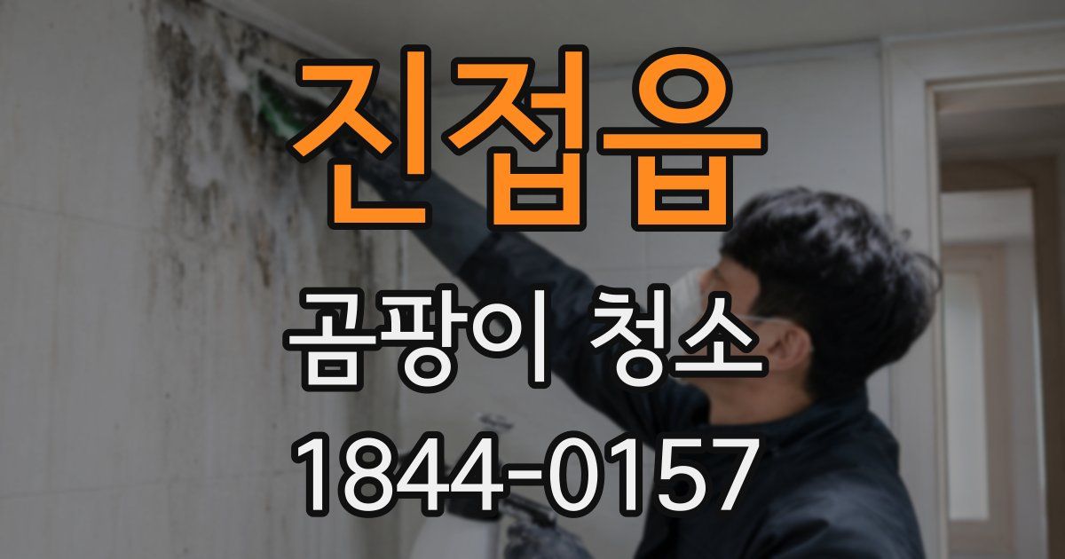 진접읍 곰팡이 청소