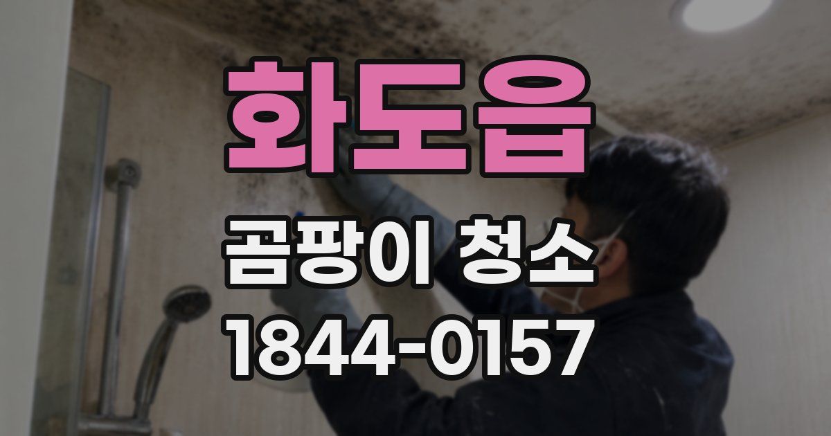 화도읍 곰팡이 청소