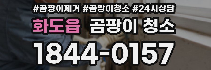 화도읍 곰팡이 청소