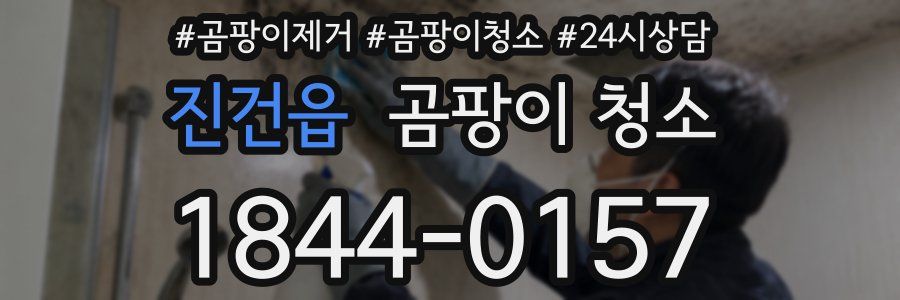 진건읍 곰팡이 청소
