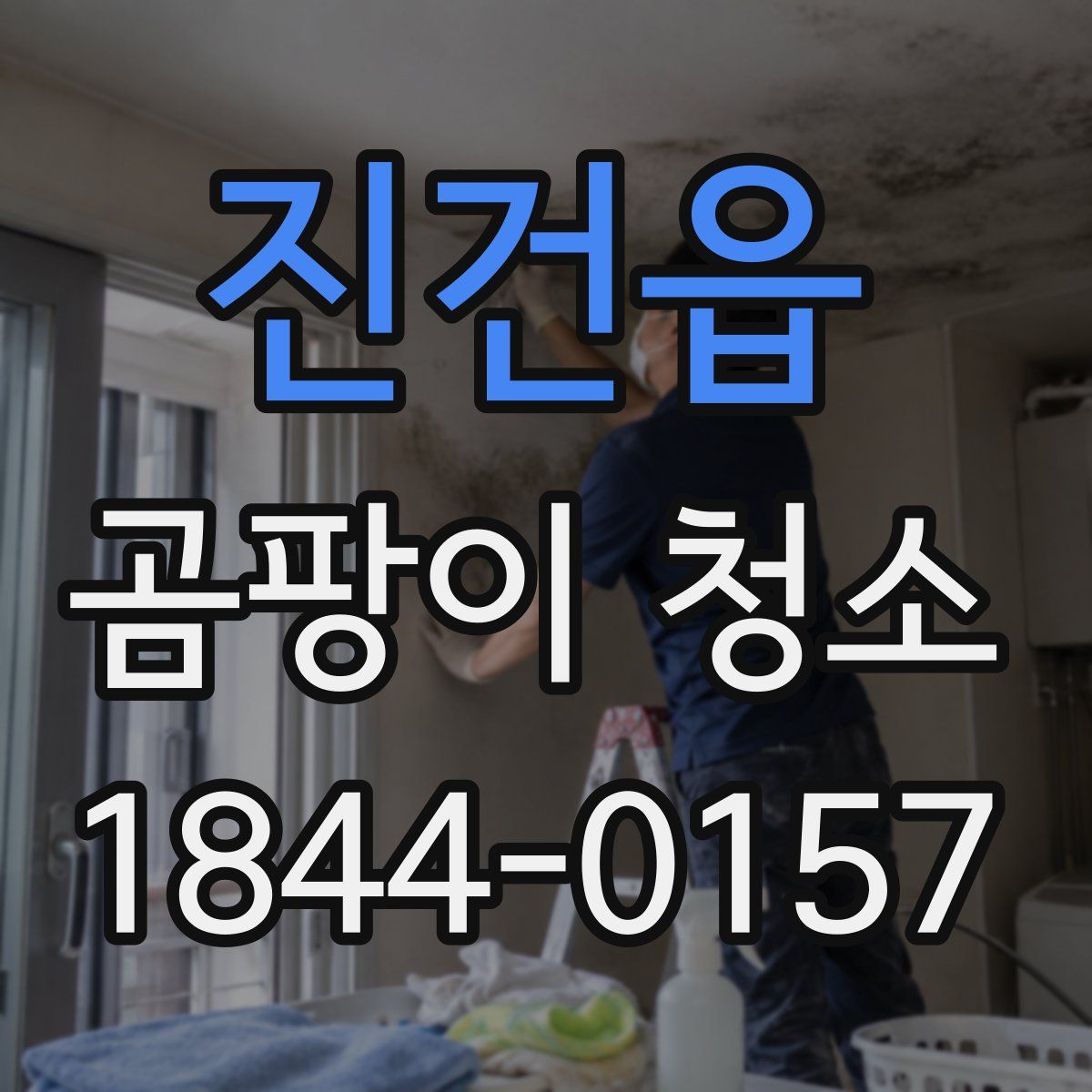 진건읍 곰팡이 청소