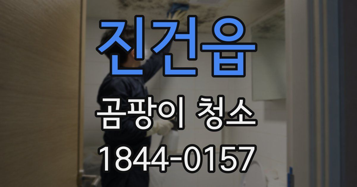 진건읍 곰팡이 청소