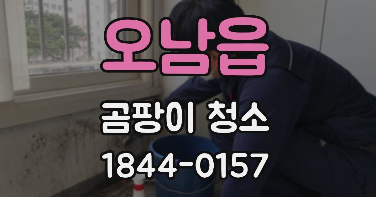 오남읍 곰팡이 청소