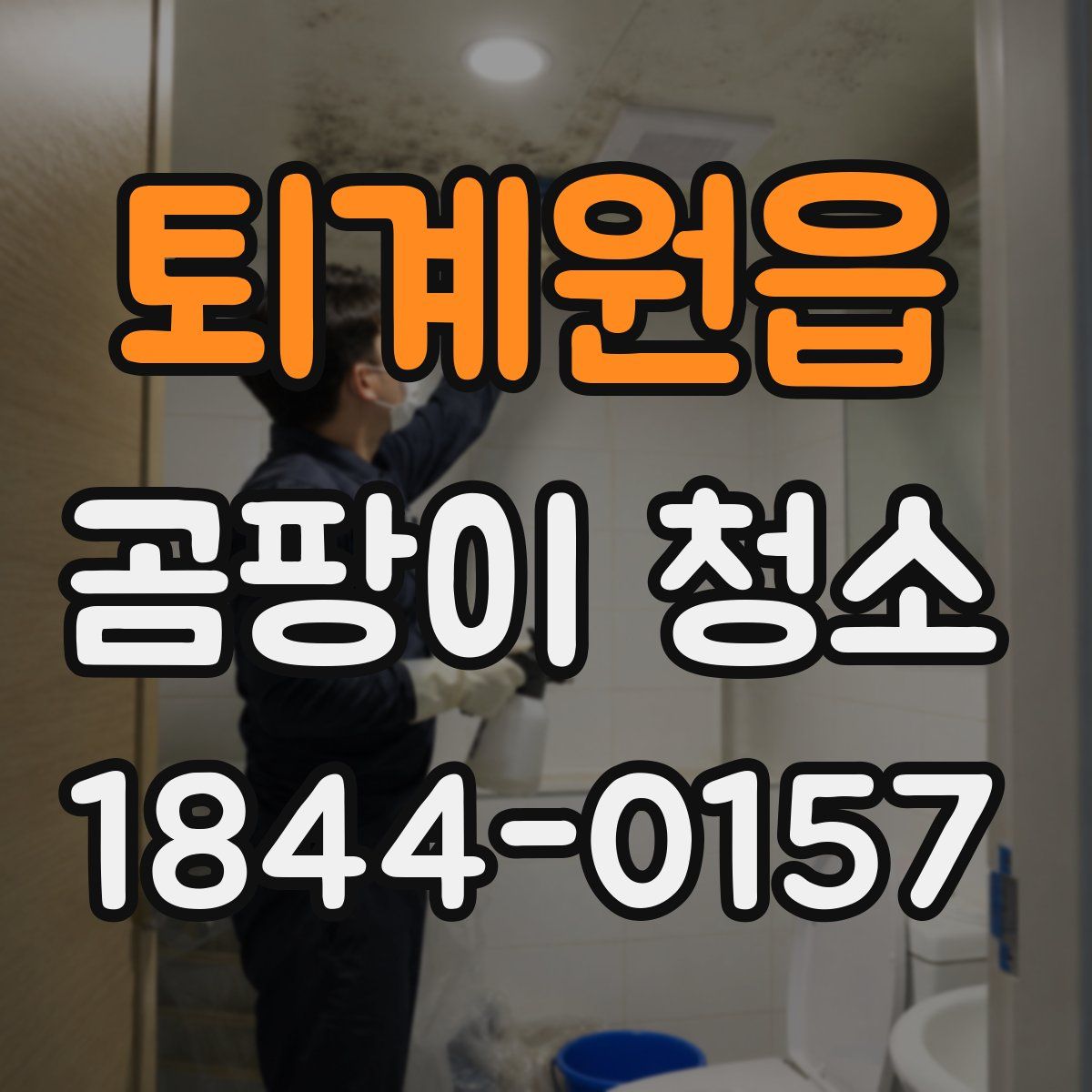 퇴계원읍 곰팡이 청소