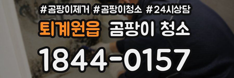 퇴계원읍 곰팡이 청소