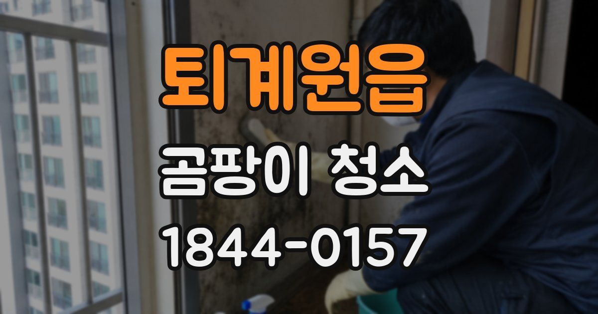 퇴계원읍 곰팡이 청소
