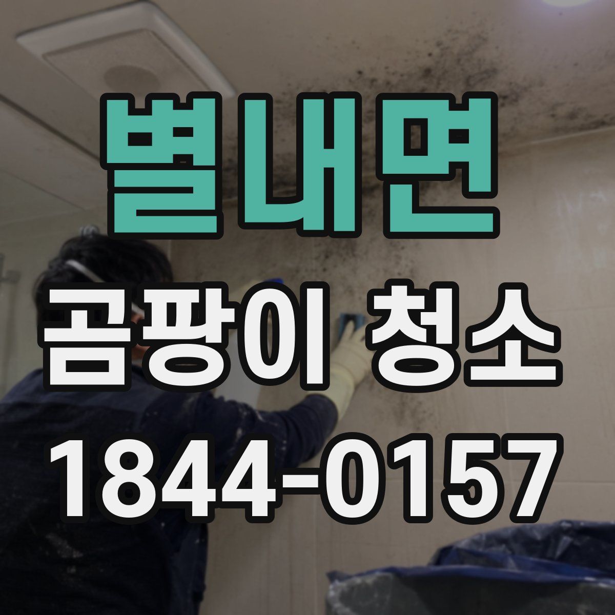 별내면 곰팡이 청소