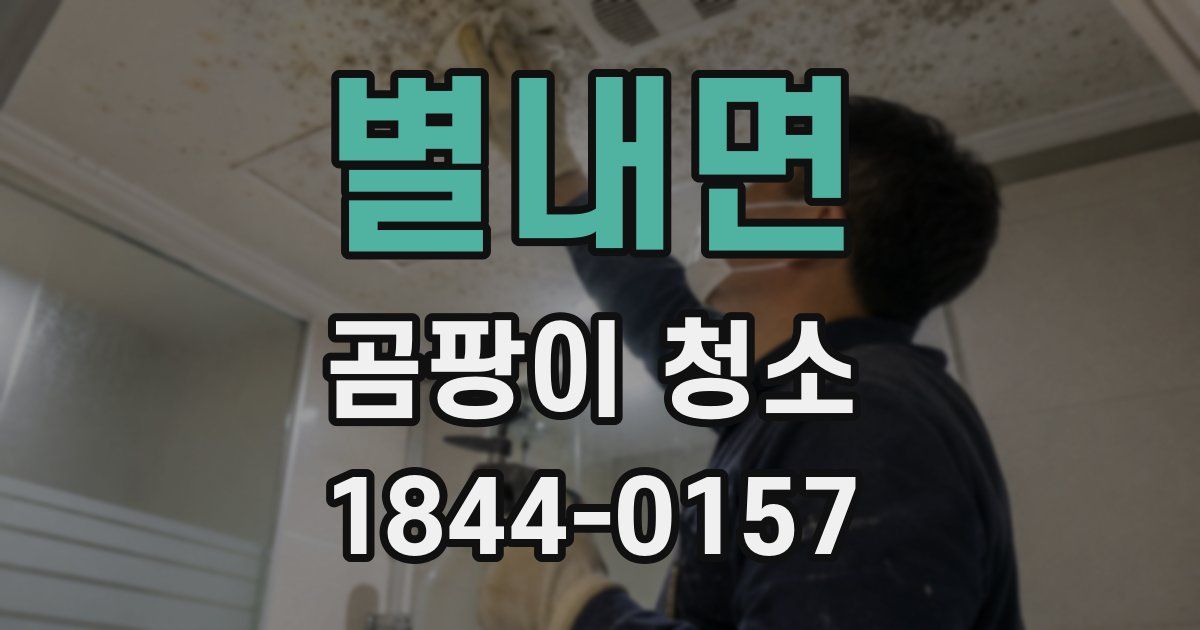 별내면 곰팡이 청소
