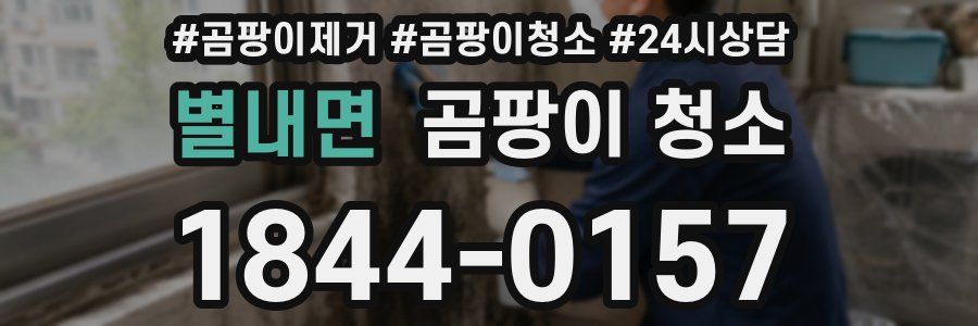 별내면 곰팡이 청소