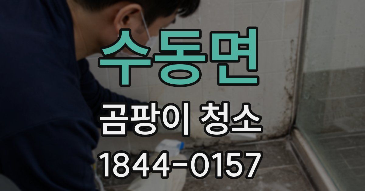 수동면 곰팡이 청소
