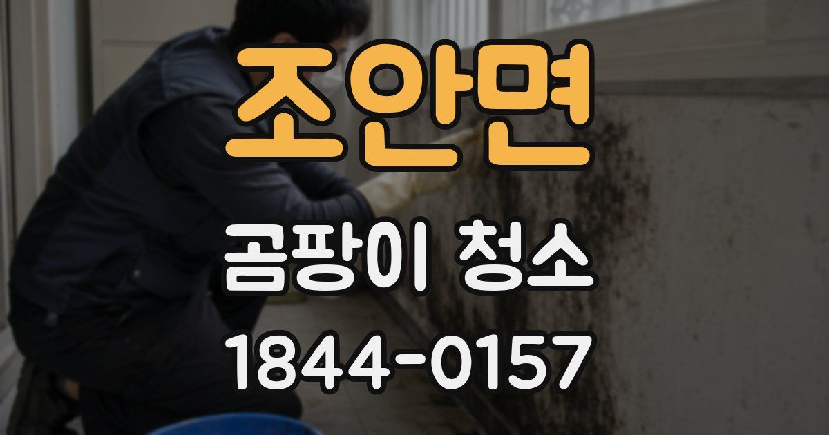 조안면 곰팡이 청소