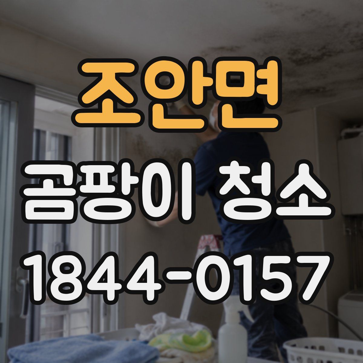 조안면 곰팡이 청소