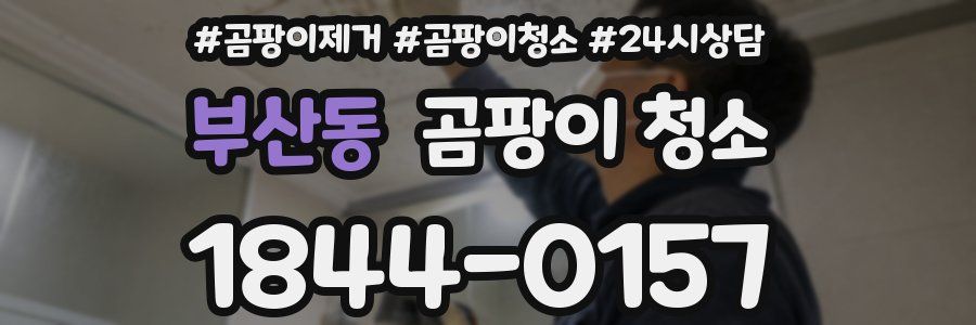 부산동 곰팡이 청소