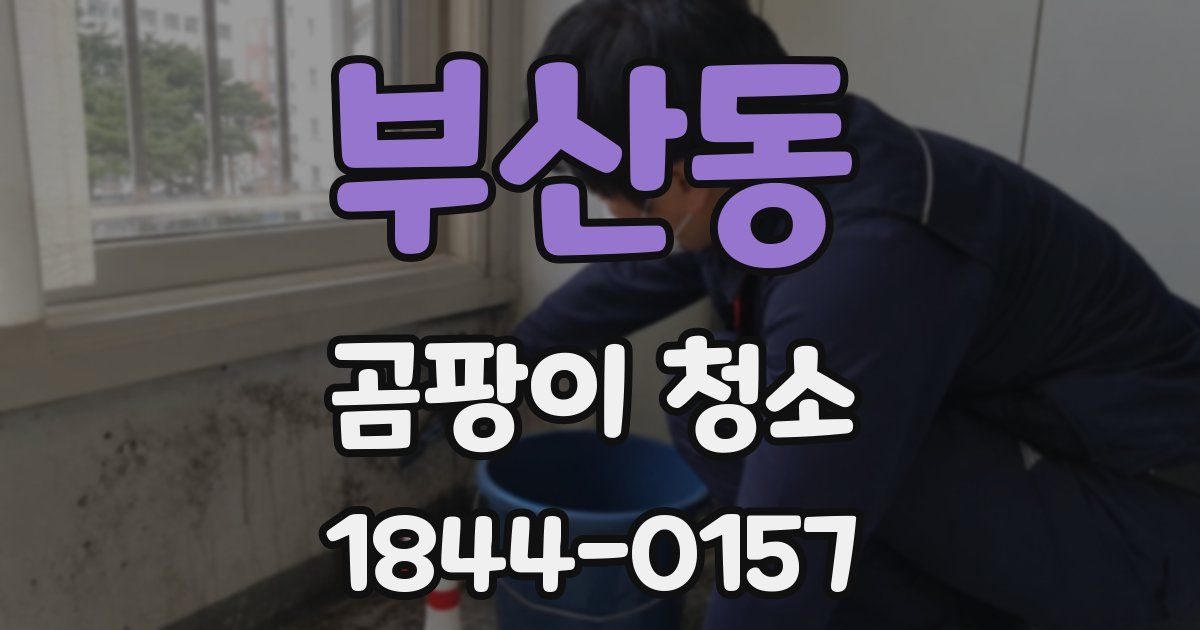 부산동 곰팡이 청소