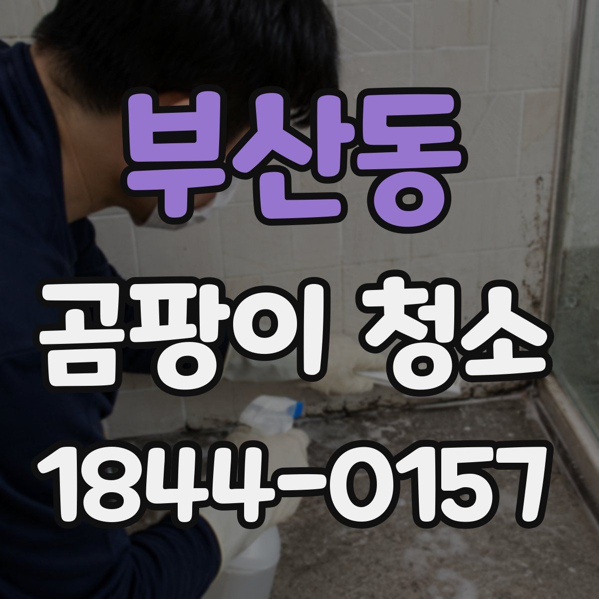 부산동 곰팡이 청소