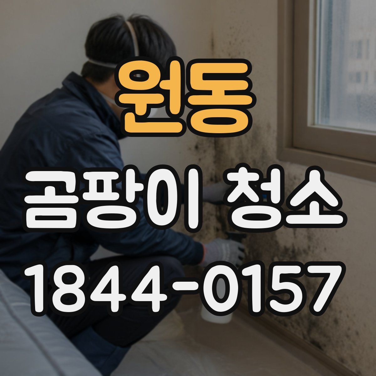 원동 곰팡이 청소