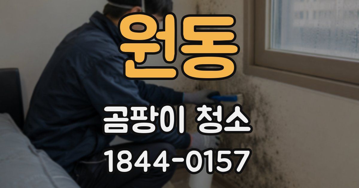 원동 곰팡이 청소