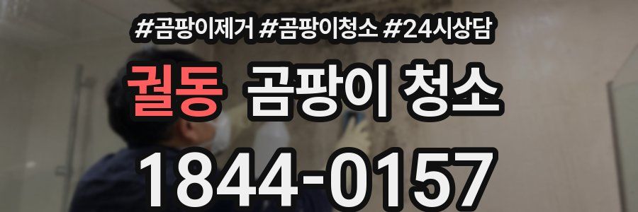 궐동 곰팡이 청소