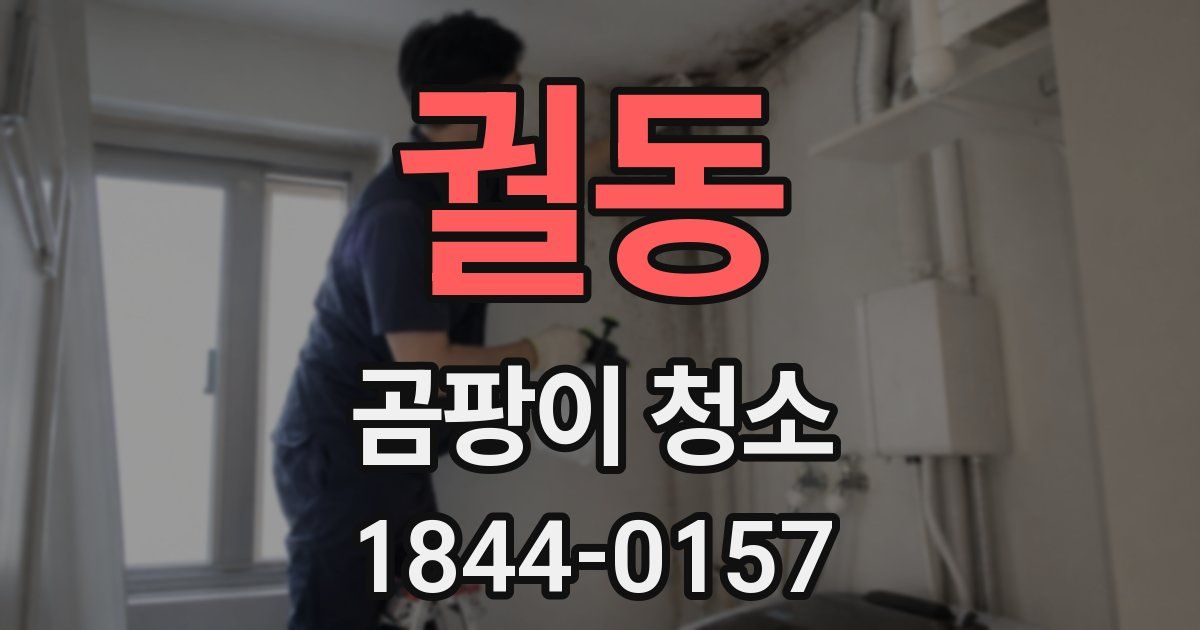 궐동 곰팡이 청소