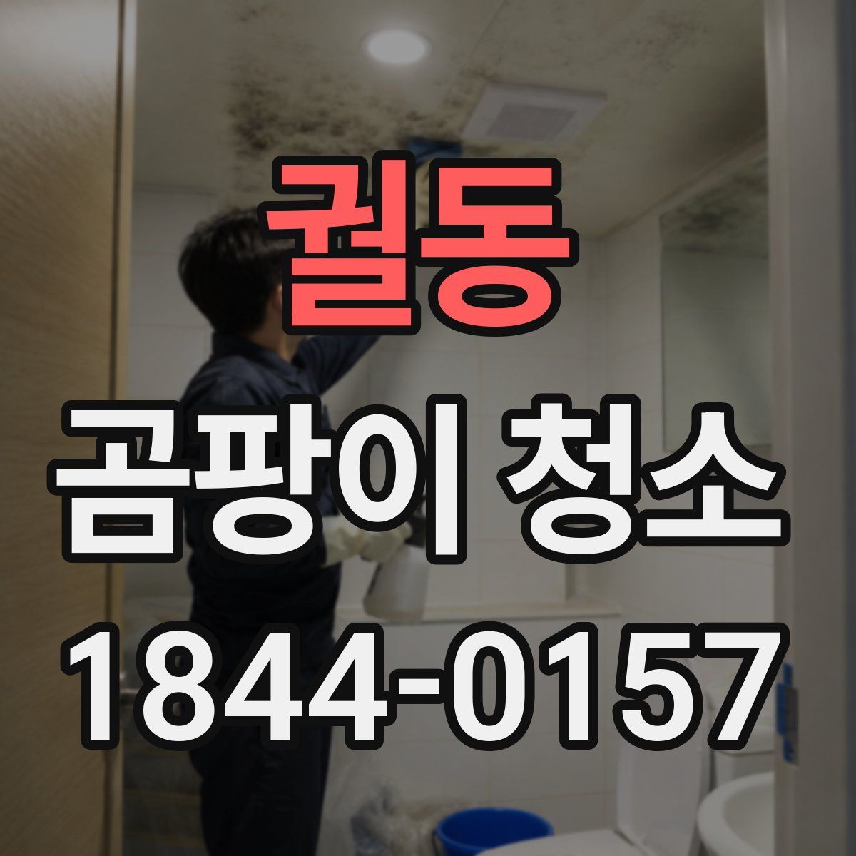 궐동 곰팡이 청소