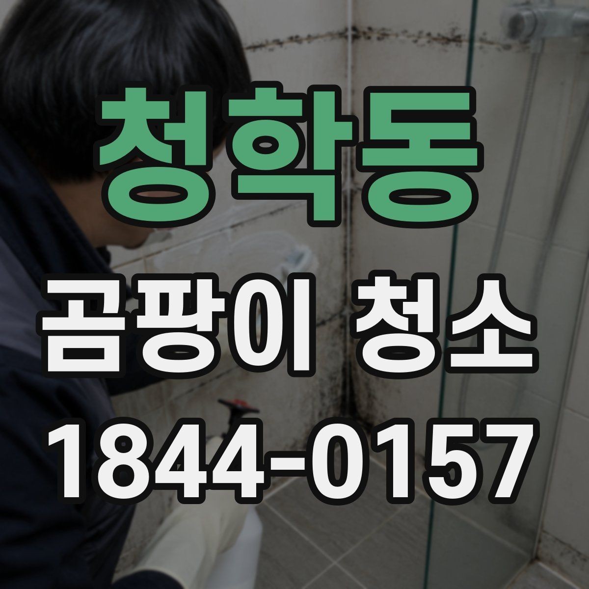 청학동 곰팡이 청소 약품 사용 전 마감재 안전을 보는 법