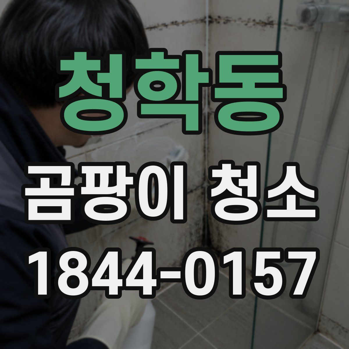 청학동 곰팡이 청소