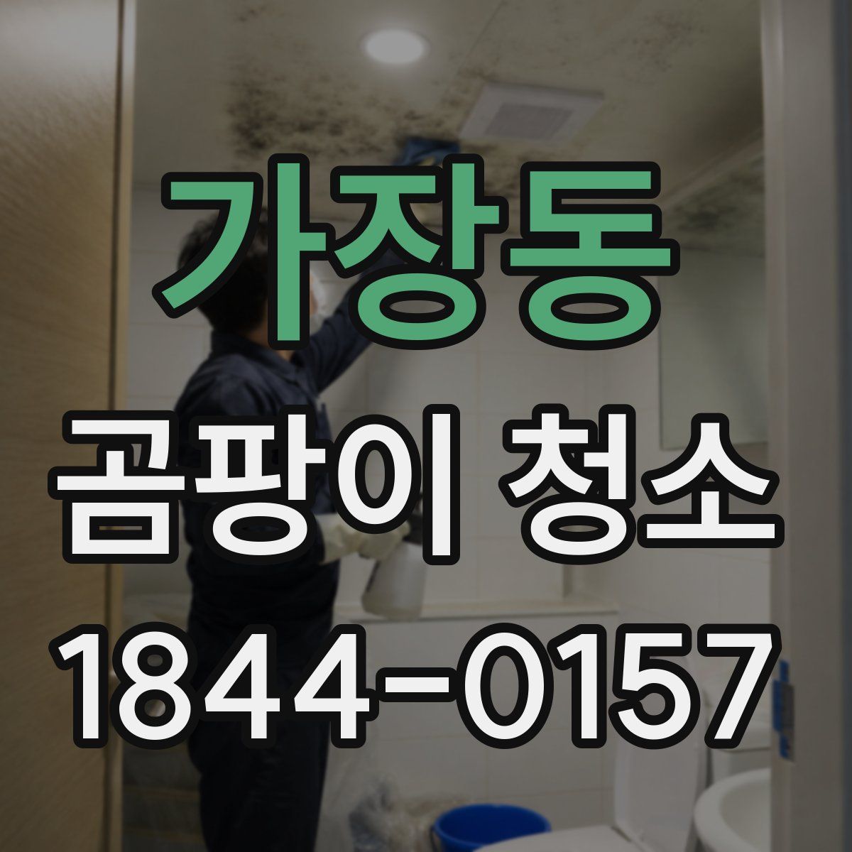 가장동 곰팡이 청소
