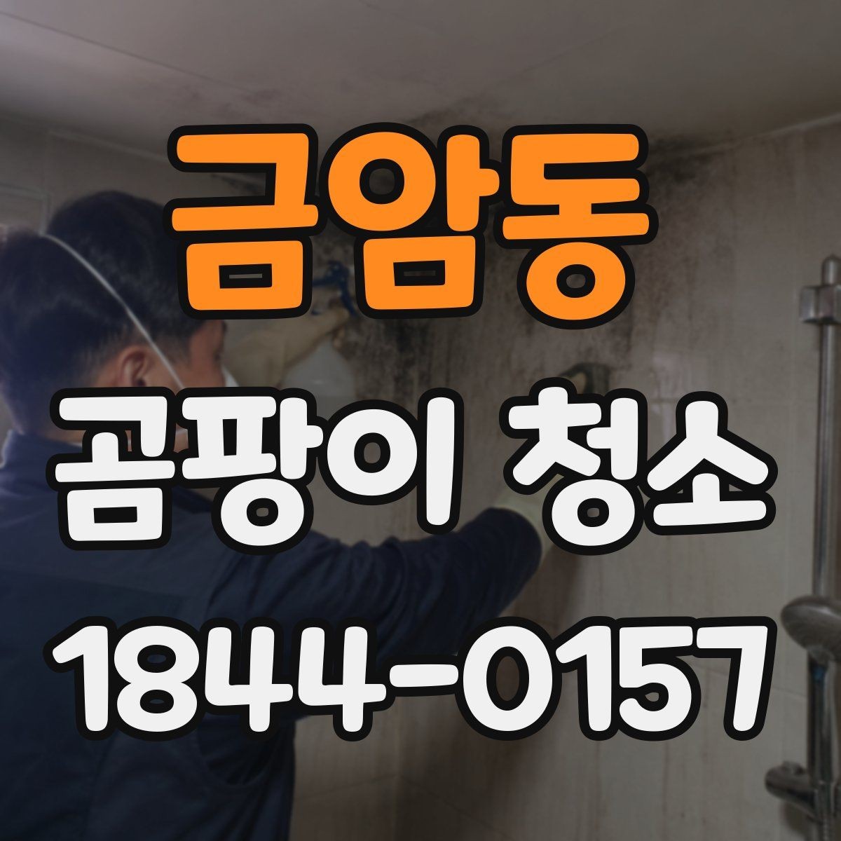 금암동 곰팡이 청소 결로와 통풍 문제를 함께 점검하는 방식