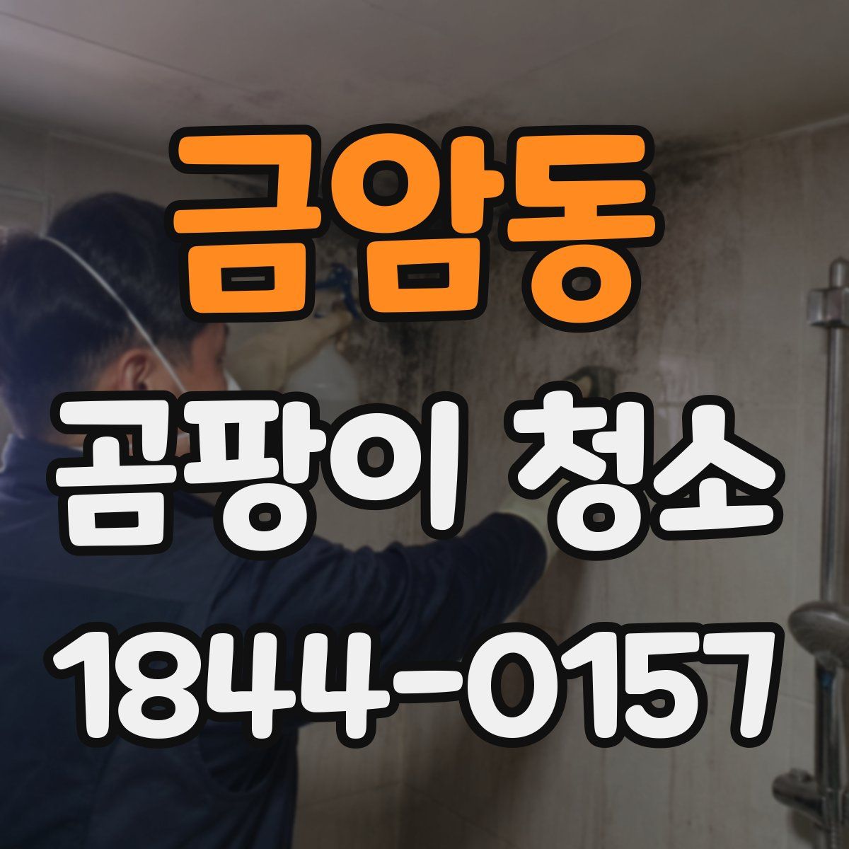 금암동 곰팡이 청소
