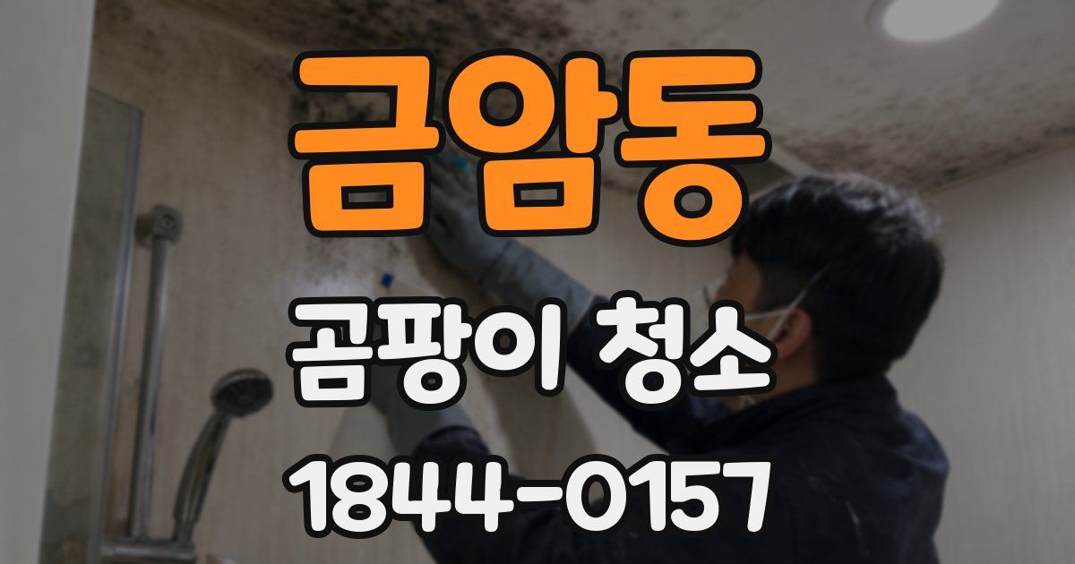 금암동 곰팡이 청소